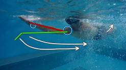 Tri2OneCoaching Zwemanalyse In Endless Pool Bij Tri2one Coaching -Goedkope Sport Glans Winkel 20190918