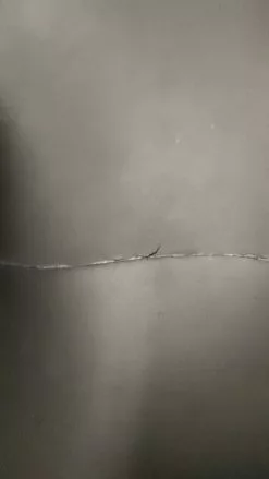 BTTLNS Wetsuit Rapture 2.0 Demo Heren Maat XL -Goedkope Sport Glans Winkel 215da563 ccb7 44ca b9dd 22de588d63ef