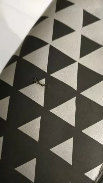 BTTLNS Wetsuit Tormentor 1.0 Demo Heren Maat SM 4 BTTLNS Wetsuit Tormentor 1.0 Demo Heren Maat SM - Afbeelding 2