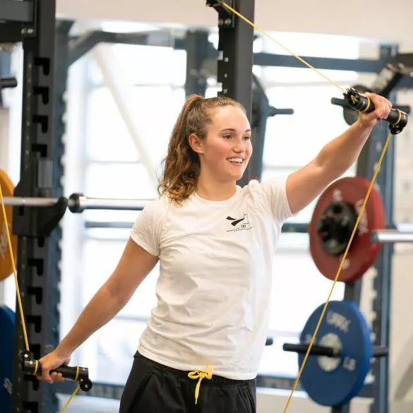 Finis Slide Dryland Trainer 7 Mm Weerstandsband Geel 5 Finis Slide Dryland Trainer 7 Mm Weerstandsband Geel - Afbeelding 3